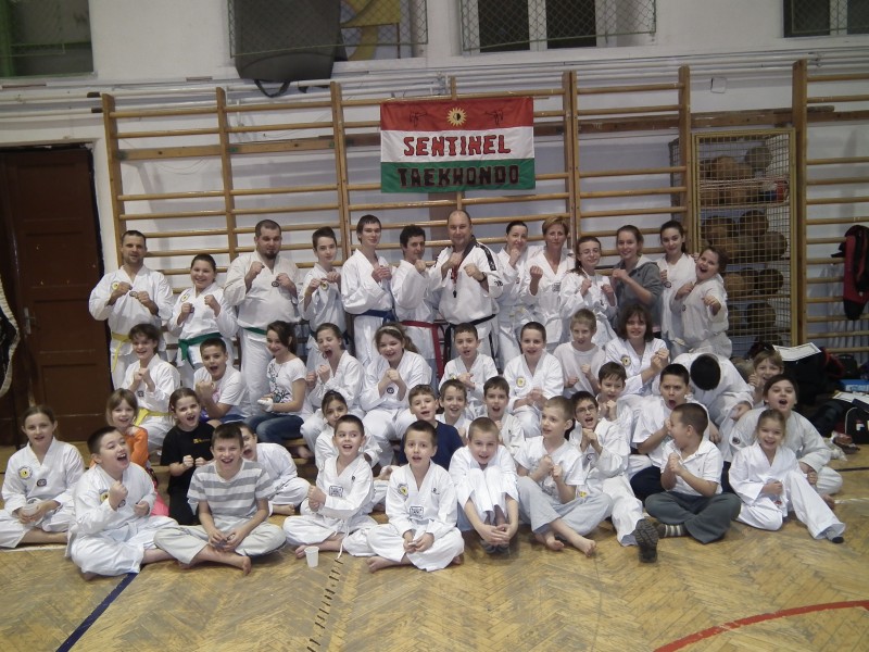 Taekwondo Sentinel SE